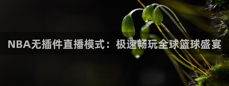NBA无插件直播模式：极速畅玩全球篮球盛宴