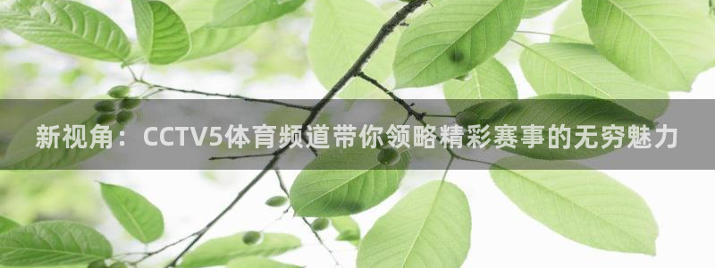 新视角：CCTV5体育频道带你领略精彩赛事的无穷魅力